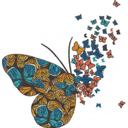 Colorful Butterflies Flying
