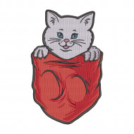 Baby Cat in Pocket