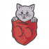 Baby Cat in Pocket