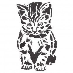 Shy Cat