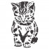 Shy Cat