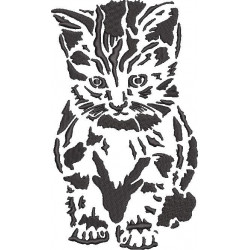 Shy Cat