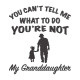 You Cant Tell Me You Cant Tell Me