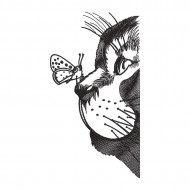 Cat And Butterfly
