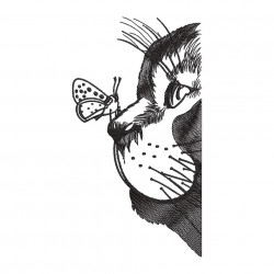 Cat And Butterfly
