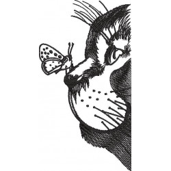 Cat And Butterfly