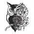 Owl Flower