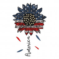 Sunflower 4th July