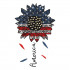 Sunflower 4th July
