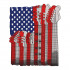 USA Flag Guitar