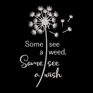 Some See A Wish