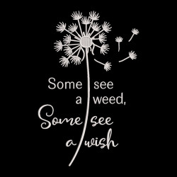 Some See A Wish