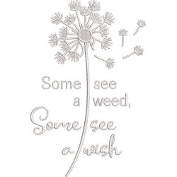 Some See A Wish