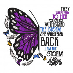 I Am The Storm