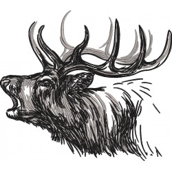 Deer Sketch