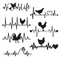 Chicken Heart Beat Collection