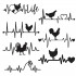 Chicken Heart Beat Collection