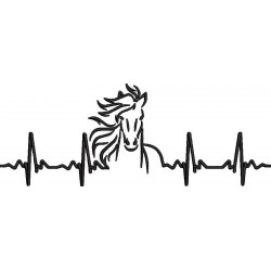 Horse Heart Beat Collection