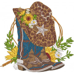 Western Boots And Hat