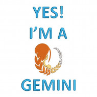 Yes I'm a Gemini