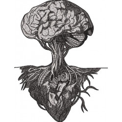 Mind Heart Design