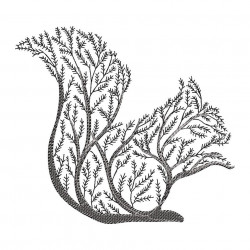 Squirrel Tree Silhouette