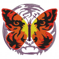 Tiger Colored Butterfly
