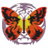 Tiger Colored Butterfly