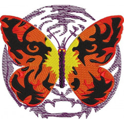 Tiger Colored Butterfly