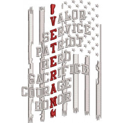 Valor Service Patriot Hero