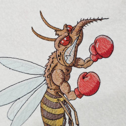 Angry Boxer Mosquito