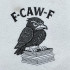 Angry Raven On Book