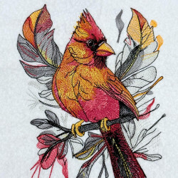 Autumn Feather Cardinal
