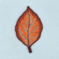 Autumn Leaf Coaster