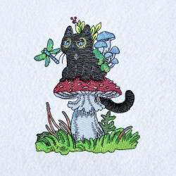 Black Cat On Mushroom