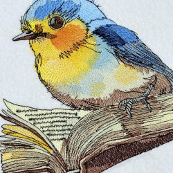 Bookworm Bird