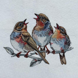 Chirping Birds On Branch