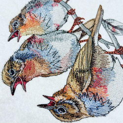 Chirping Birds On Branch