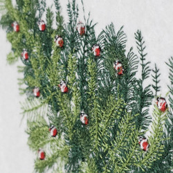 Classic Christmas Tree