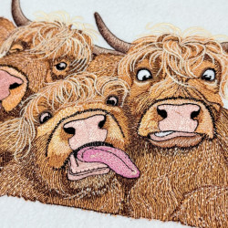 Crazy Highland Cow Family - Free with $20 Purchase Crazy Highland Cow Family - Free with $20 Purchase