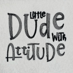 Dude With Attitude Quote
