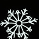 FSL Crystal Branch Snowflake Ornament And Coaster FSL Crystal Branch Snowflake Ornament And Coaster