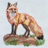 Fox On Rocks