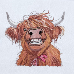 Funny Highland Cow