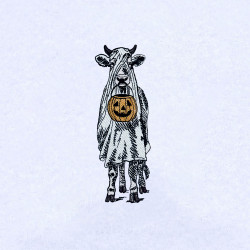 Halloween Cow With Pumpkin
