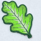 Oak Leaf Coaster