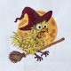 Panic Chicken On Broomstick
