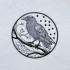 Raven On Branch