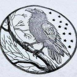 Raven On Branch