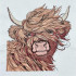 Fluffy Scottish Highland Cow